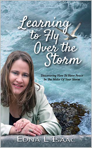 Learning To Fly Over The Storm: Discovering to have peace