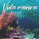  Vida marina Calendario 2022: Calendario 2022 8.5\'\'x8.5\'\' - Regalos para familiares y amigas amigos - Animales divertidos