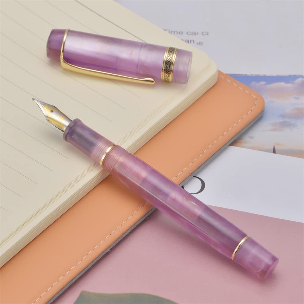 Stylo plume, belle lumière F/plume encre d'écriture bureau école