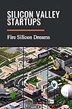  Silicon Valley Startups: Fire Silicon Dreams: Explosion On The Internet (English Edition)