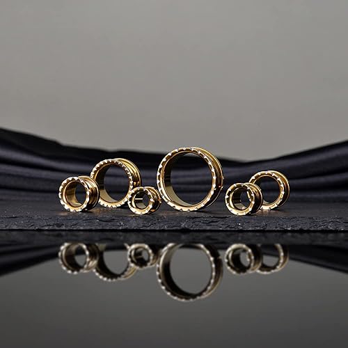 Miniatura 5 de COOEAR Tapones y túneles de acero inoxidable con rosca trasera, polea, boca, oreja, tamaño de expansión de 0.00 oz a 1 pulgada.