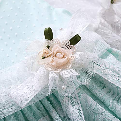 Pettigirl Girls Spring Light Blue Half Sleeve Clothing Toddler Princess Wedding Party Tulle Lace Dresses4