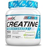 AMIX - Creatina Monohidratada Creapure en Bote de 300 g - Ayuda al Aumento del Rendimiento y la Fuerza - 100% Creapure - Suplemento para Ganar Masa Muscular