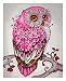 DoMyArt Paint by Number Kits for Adults, DIY Oil Painting for Children - Pink Lucky Owl 16X20 Inch