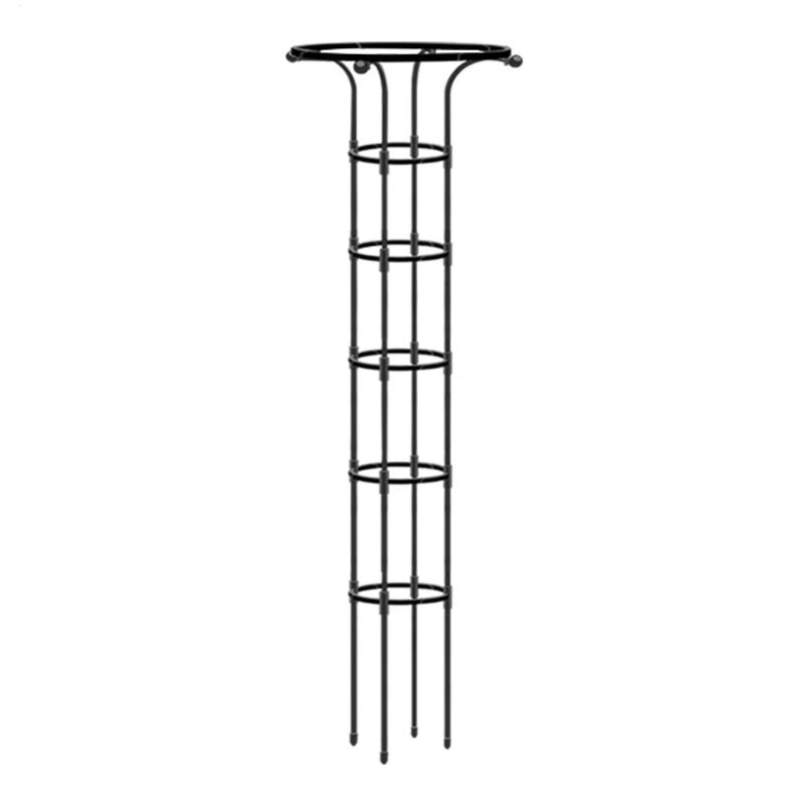 Obélisque de Jardin en Tubes en Acier pour Plants Grimpantes