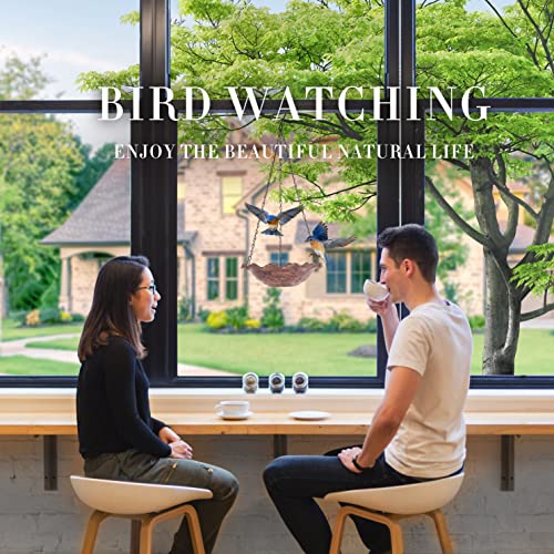 Hanging-Bird-Bath-for-Outdoor-10in-Bird-BathHanging-Bird-Feeder-with-Hook-and-Chain-for-Wild-Birds-1PACK