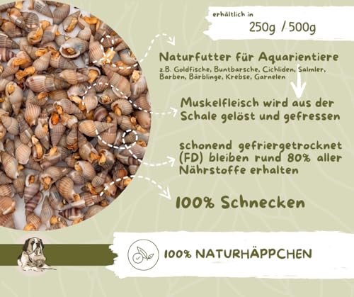 Warnick´s Tierfutterservice Naturhäppchen Schnecken, FD gefriergetrocknet - 100 gr Tüte - Naturfutter für Zierfische, Garnelen und Krebse