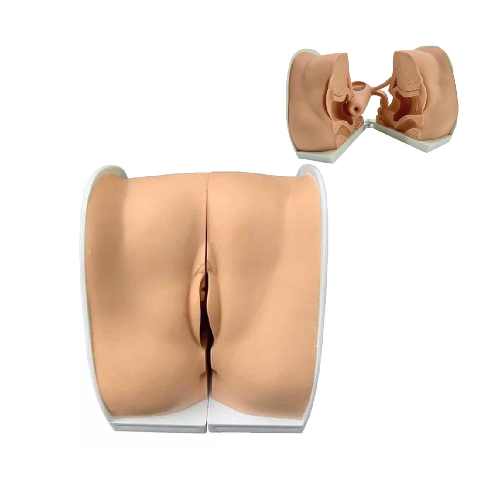 Modelo de maniquí ginecológico femenino de tamaño natural para anatomía y guía anticonceptiva