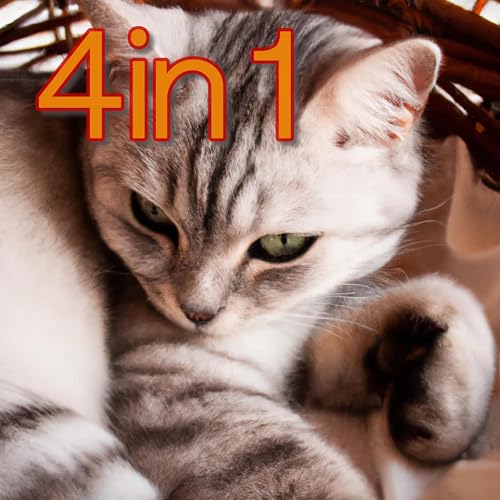 Image of 4in1