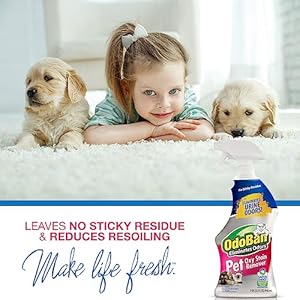 OdoBan Pet Solutions Oxy Stain Remover, Pet Stain Eliminator, 2-Pack, 32 Ounce Spray Each OdoBan Pet Solutions Oxy Stain Remover Pet Stain Eliminator 2 Pack 32 Ounce Spray Each