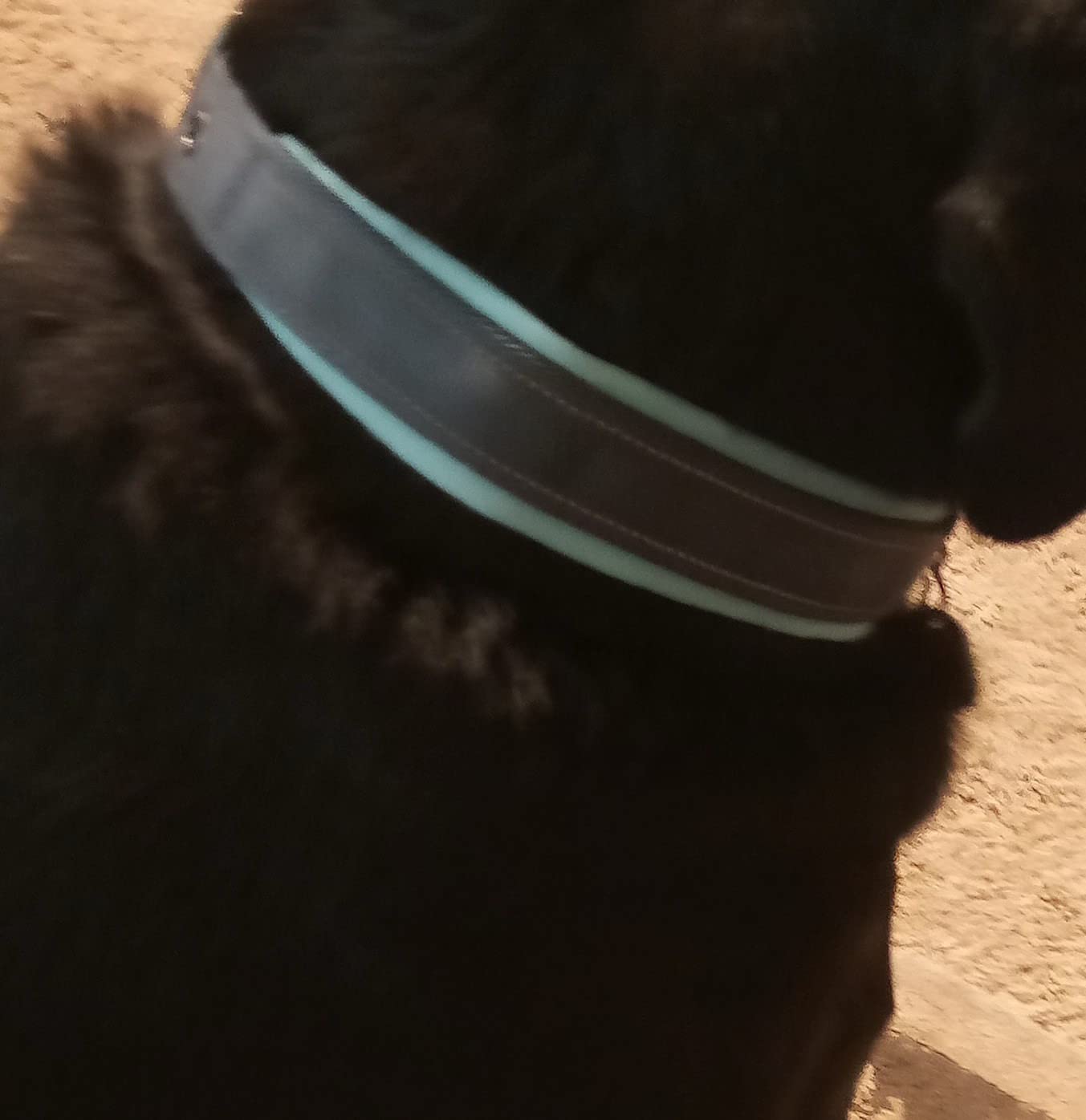 4/mo Finance Black Rhino The Comfort Collar Ultra Soft Neoprene