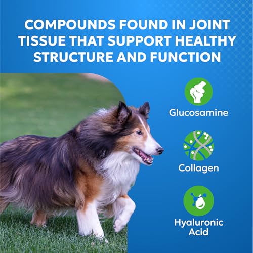 Nutramax Cosequin Elements Dog Joint Supplement, Green Lipped Mussel, 75ct - image 3