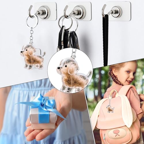 Generisch Süßer Schlüsselanhänger | Hundehaarsammler Auto-Schlüsselanhänger,Transparentes Anhänger Andenken Für Tierhaare, Wohndekoration Rückspiegel Zubehör