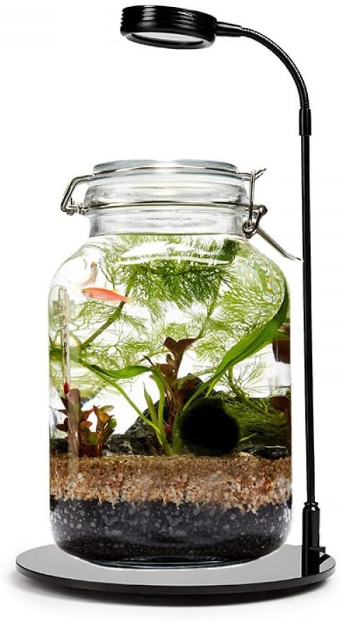 LISIQI Fish Tank, 360 Aquarium with LED Light, 0.7Gallon Fish Bowl, Small Fish Tank Kit, Fish Tank Self Cleaning LISIQI Fish Tank, 360 Aquarium with LED Light, 0.7Gallon Fish Bowl, Small Fish Tank Kit, Fish Tank Self Cleaning