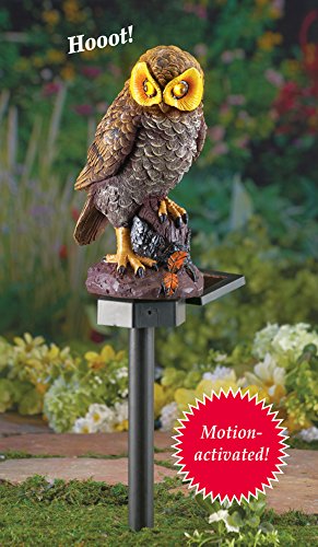 Collections Etc Solar Brown Hooting Owl Garden Decor Yard Stake, Brown #TOP2