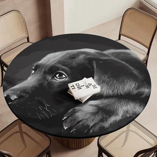 Nappe ronde noire élastique avec isolation thermique pour repas - 6