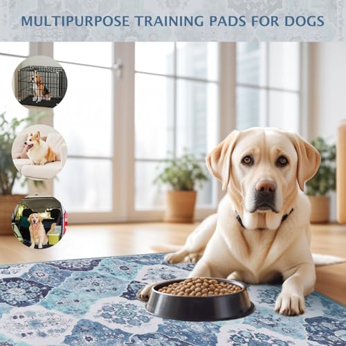 Image of IEUUMLER Washable Pee Pads for Dogs, 1 Pack Reusable Pee Pads for Dogs Non-Slip Grip, Super Absorbent Waterproof Puppy Pads for Potty Training, Playpen, Crate, Whelping Box EU011 (Blue,63 inch x 63 inch)