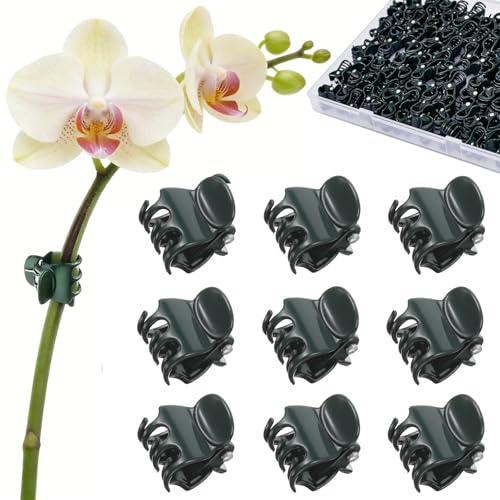 CHZKVOY 100 Pcs Standard Orchid Clips - 0.7-inch Max Opening, Dark Green Plant Support Clips, Gentle Hold with No Damage for Phalaenopsis and Small-Medium Stems