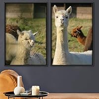 2 Piece Framed Canvas Wall Art Alpaca Looking into Camera Canvas Prints Home Artwork Decoration for Living Room,Bedroom - 16