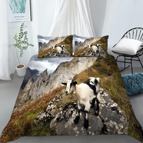 zcZbg M zcJo[ _炩 ʋC R m/ap h_j lGʗp tɗDVɂȂɂ ӂƂZbg (210x210cm) + 2 Jo[ (43x63cm)