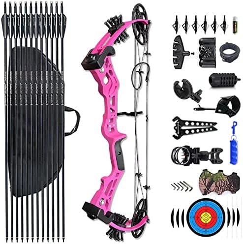 PANDARUS Compound Bow Set 15-45lbs for Pull Beginner and Teens Right Handed Adjustable 18″-29″ Draw Length, 320 FPS Speed, Hunting Bow Archery Set New 2023