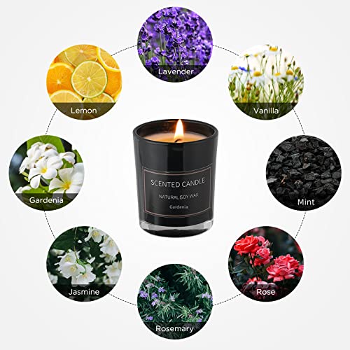 Fancan JC002 Home Scented Candles, 8 Pack Aromatherapy Jar Candles Smoke-Free Strong Fragrance Long Lasting thumb #2