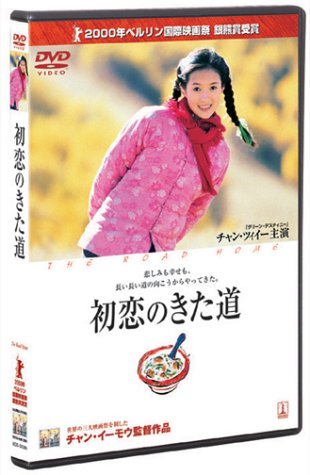 51YAP5YPY1L.jpg