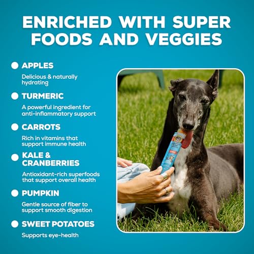 Image of Brutus Brothcicles Frozen Dog Treats - Turkey Flavor Dog Popsicle Snack, Hydrating Frozen Enrichment Treat with Superfoods,12 Fl Oz Pack of 1 (2 oz per Stick)
