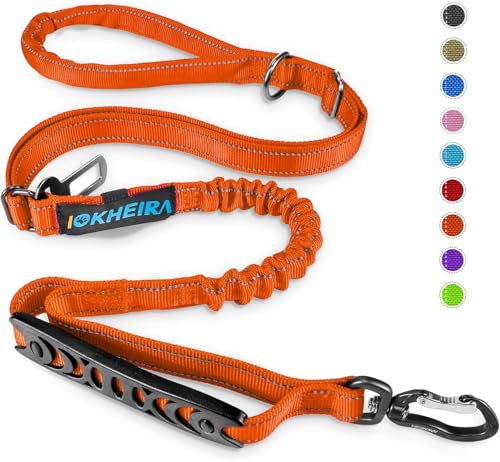 Iokheira Correa para Perros de 5 pies, 4 en 1, Ajustable, con cinturón de Seguridad para el Coche y asa Acolchada, elástica y Reflectante (Naranja 1)