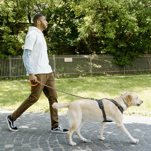 Image of Chain Dog Leash, Bite-Proof Metal Leash, with Padded Handle Orange