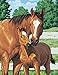 Dimensions PBN 11x14 Mothers Pride, None