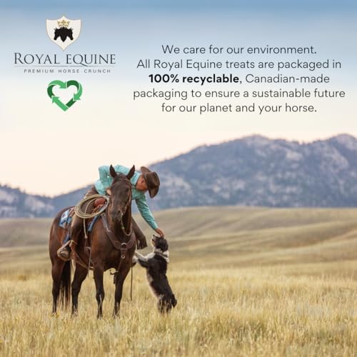 Royal Equine Premium Horse Crunch, Healthy Horse Treats - Canadian-Sourced, All-Natural Ingredients, Crunchy Baked Cubes. GMO-Free, No Preservatives, Rye, Barley, Oats Base. (Honey & Molasses) — view 3