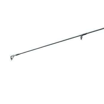 Amazon | ダイワ(Daiwa) シーバスロッド スピニング モアザン