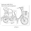 Comfort, 3 Wheel Bikes High Carbon Steel Frame Adult Tricycle 6 Speed Three Wheel Cruiser Bike with Rear Seat & Shopping Basket for Seniors Women Men Pedal Cycling #1