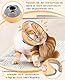 Supet Halskrause Katze,Einstellbarer Halskrause Katze Halsband,Wiederherstellung Halsband Weich Kragen Cone Nach Operation und Verletzungen für Welpen, Kleine Hunde und Katzen (Orange,M-)