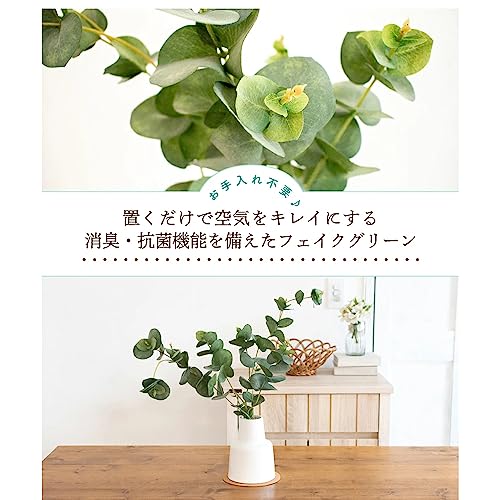 フェイクグリーン 人工観葉植物 エクリア グリーナリーライフ 消臭アーティフィシャルグリーン ユーカリ Lサイズ [2]