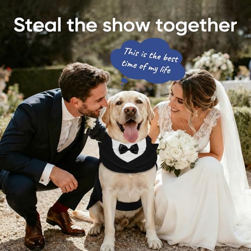 Supet Dog Tuxedo and Bandana Set with Bow Tie, Formal Outfit for Wedding Birthday Party Graduation Valentines, Pet Suit Clothes for Large Medium Small Dogs (Black, 2XL) by Supet - Image 5