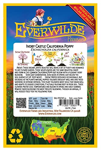 Everwilde Farms - 1000 Ivory Castle California Poppy Wildflower Seeds - Gold Vault Jumbo Seed Packet #TOP1