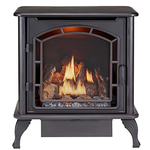Duluth Forge DF25SMS Dual Fuel Vent-Free Stove 23,000 BTU