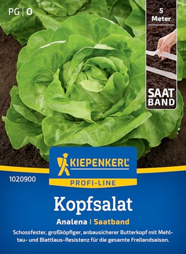 Kiepenkerl Profi-Line Kopfsalatsamen Analena 1020900 - Widerstandsfähige Salatsamen für ganzjährigen Anbau, resistent gegen Falschen Mehltau, ideal für Gartenliebhaber - Gemüsesamen