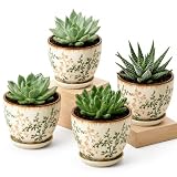 MISSYSSIM Ceramic Plant Pots, Vintage Succulent Pots, Plant Pots Indoor Set of 4, Planters with Drainage and Attached Saucer, 4.8 Inch Floral Flower Pots for Home Decor, Plant Lover Gifts
