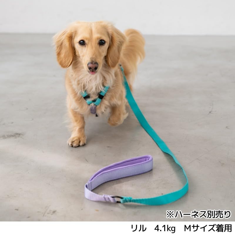 Amazon | ビビットバイカラーリード S/M/L Solgra-ソルグラ- 犬用