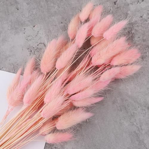 CutitiUU 50 Stems Of Pink Rabbit'S Tail Grass,Bunny Tails Dried Flowers Pampas Grass,Fluffy Soft Faux Dried Tall Fake Plant Bouquet Decorative,Rabbit Tails Dried Flowers Bouquet Best