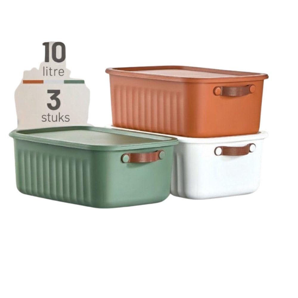 HOPS Storage Box with Lid, Set of 3, 20L-15L -10L BPA-Free Plastic, Nestable and Stackable