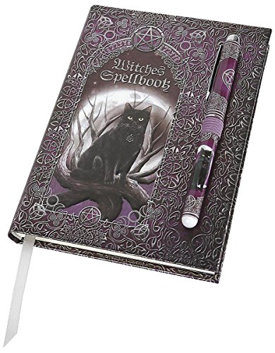Nemesis Now Zauberbuch mit Stift-Tagebuch, Hexen, 18 cm, Violett