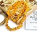 Amber Guru Baltic Amber Necklace for Women and Men (Authentic, Certified) - 21.7 inches, Honey (Raw/Unpolished) - Unisex Amber Jewelry for Adults - Amber Bead Necklace
