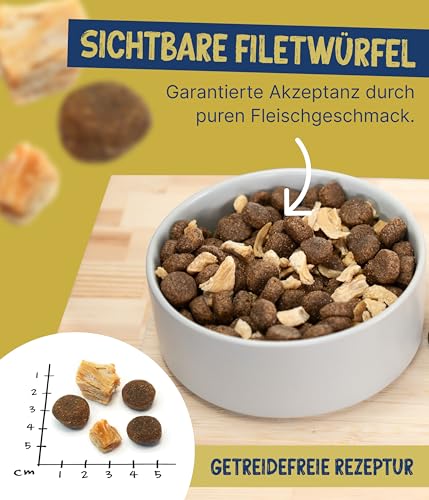 NutriQM® Twice Nice Adult Pute & Huhn 4 kg | Trockenfutter für Hunde ohne Getreide | Mit Superfoods, Filetwürfeln & Omega-Fettsäuren | Leicht verdauliches Hundefutter trocken | Made in Germany