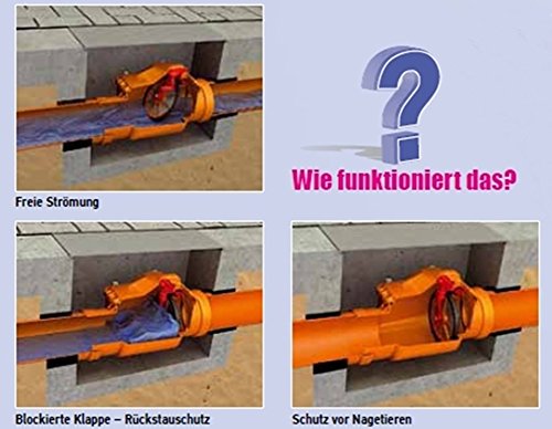 Valvola anti-ritorno/anti-riflusso, DN 50 mm, in