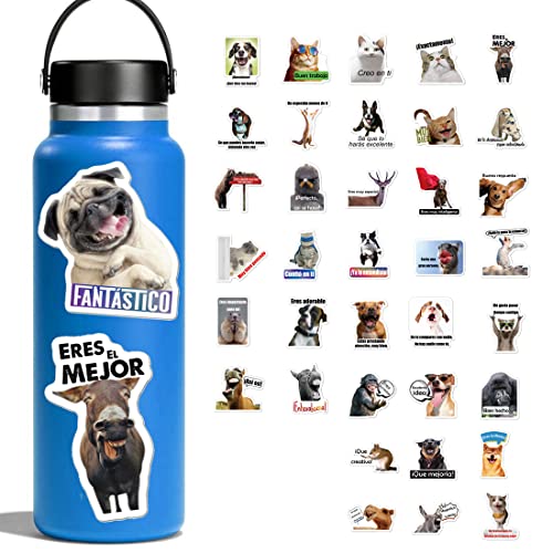 Calcomanías divertidas de meme en español para estudiantes, calcomanías de recompensa para profesores, 51 unidades