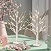 PEIDUO Christmas Decorations Indoor, 2 FT Birch Tree with LED Lights, Fairy Light Spirit Tree for Christmas Decor, Warm White Lighted Birch Trees for Home Decor Indoor, Battery Powered, Timer (2PK)